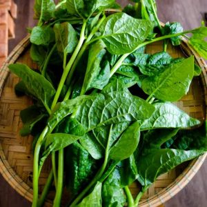 Rau Mồng Tơi(Malabar spinach)