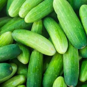Dưa leo (Cucumber)