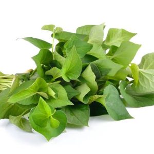 Rau Diếp Cá (Fish Mint)