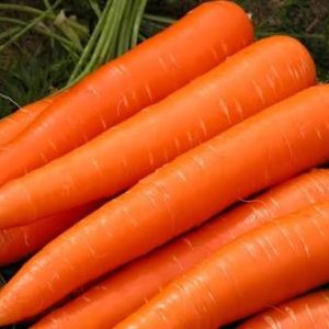 Củ Cải Đỏ (Carot)